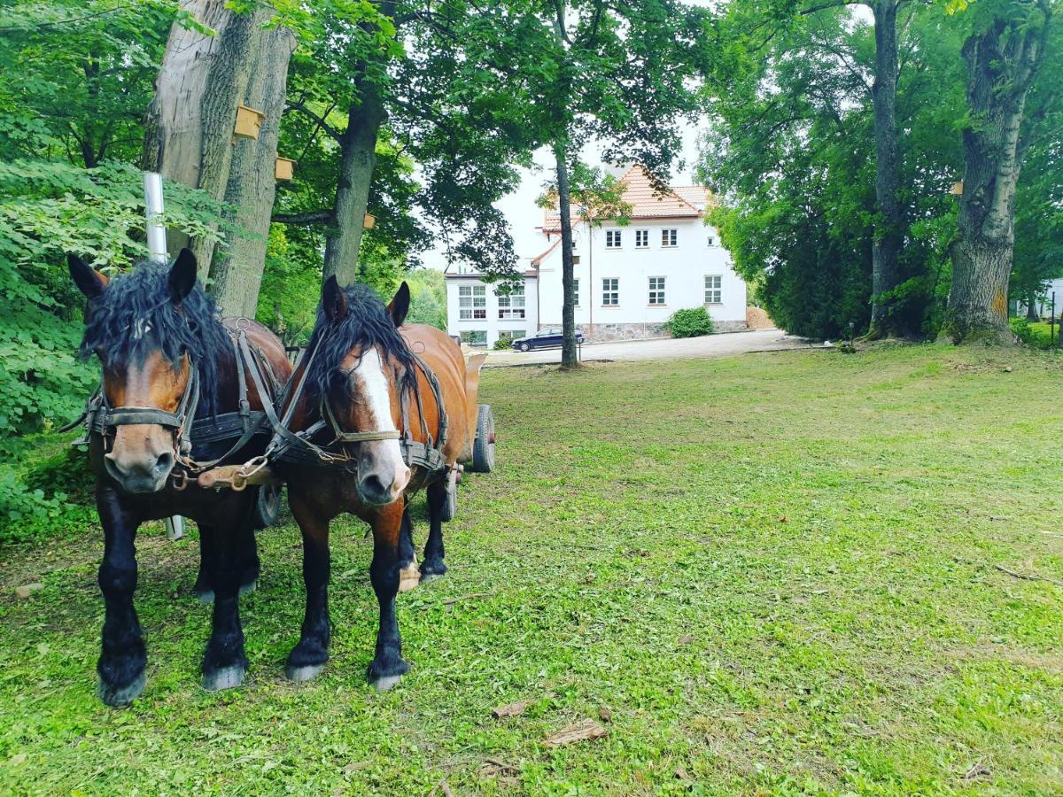 Dwor Nad Jeziorem W Bieniaszach Bed & Breakfast Milakowo Exterior photo